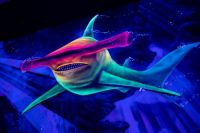 Firmenpartnerevent 2019 005 © www.davidbohmann.com Firmenpartnerevent 2019 005 © www.davidbohmann.com