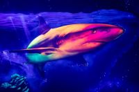 Firmenpartnerevent 2019 006 © www.davidbohmann.com Firmenpartnerevent 2019 006 © www.davidbohmann.com