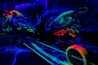 Firmenpartnerevent 2019 117 © www.davidbohmann.com Firmenpartnerevent 2019 117 © www.davidbohmann.com