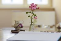 Eröffnung Galeriecafe werd:art, Juni 2018 011 © Jugend am Werk Eröffnung Galeriecafe werd:art, Juni 2018 011 © Jugend am Werk