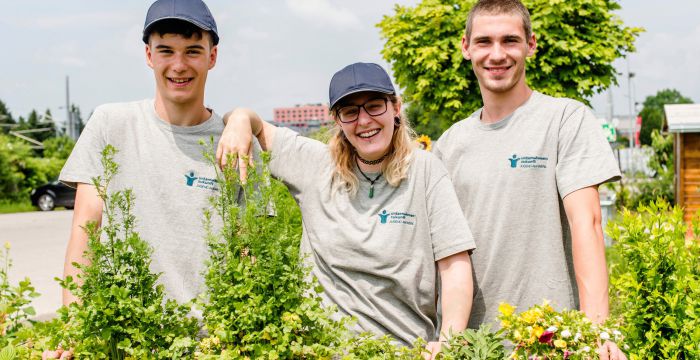 Drei Lehrlinge Garten- und Grünflächengestaltung © Kollektiv Fischka/fischka.com