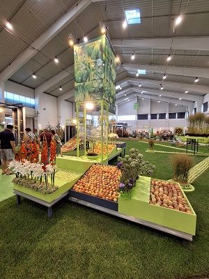 Kunstwerk mit Äpfeln auf der Gartenbaumesse 2024 © Jugend am Werk