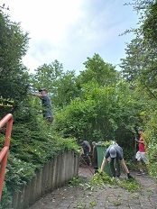 Mitarbeiter:innen von Hilti beim Strauchschnitt © Jugend am Werk